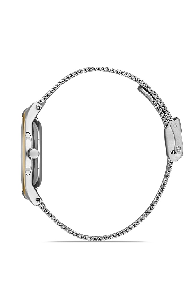 DANIEL KLEIN 13195 Women Mesh Watch