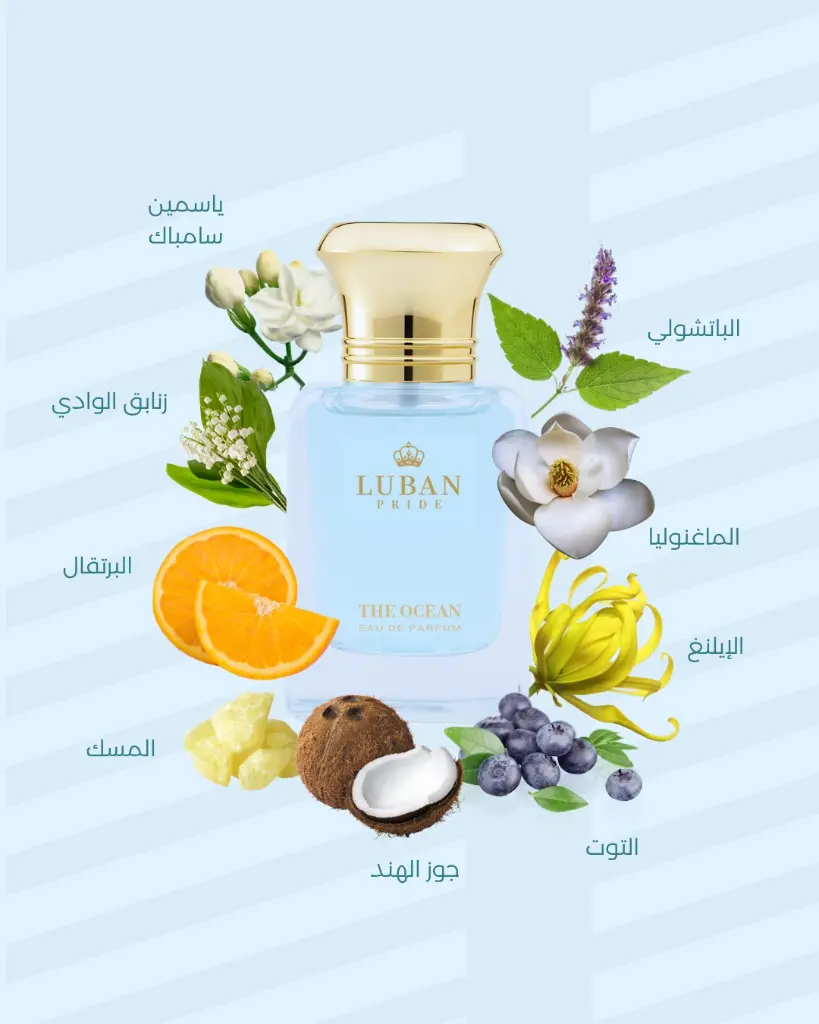 WhatsApp Image 2025-07-24 at 12.20.54 PM (1).webp