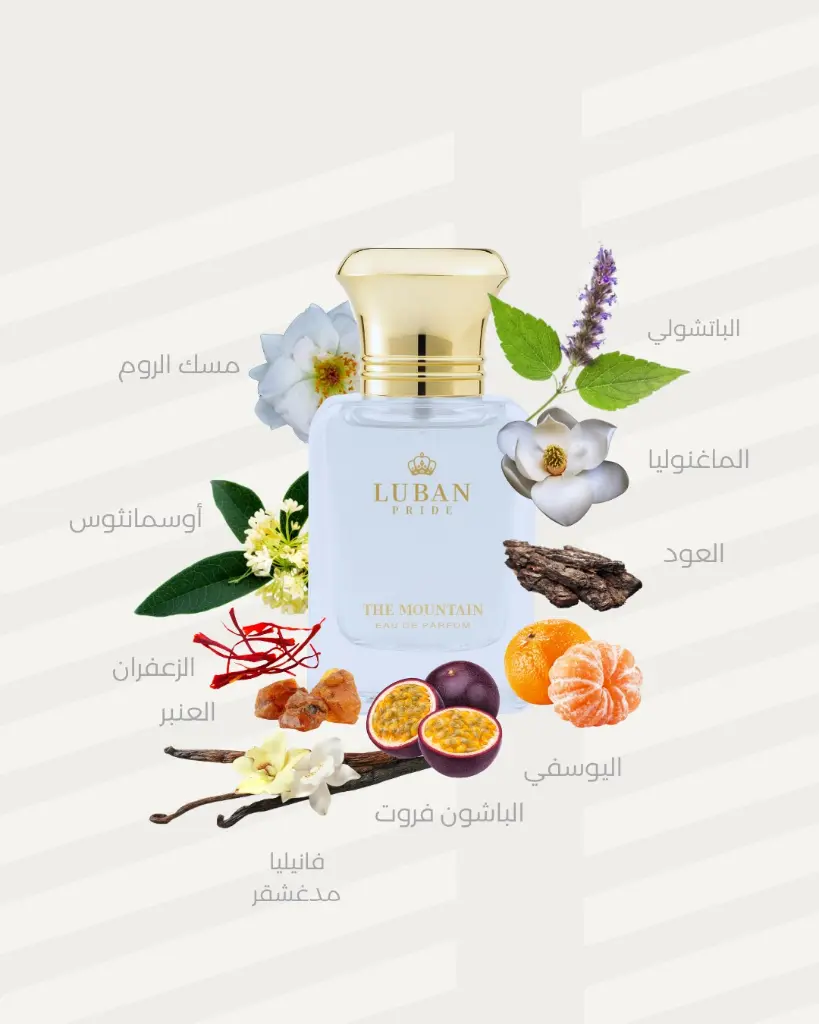 WhatsApp Image 2025-07-24 at 12.20.53 PM.webp