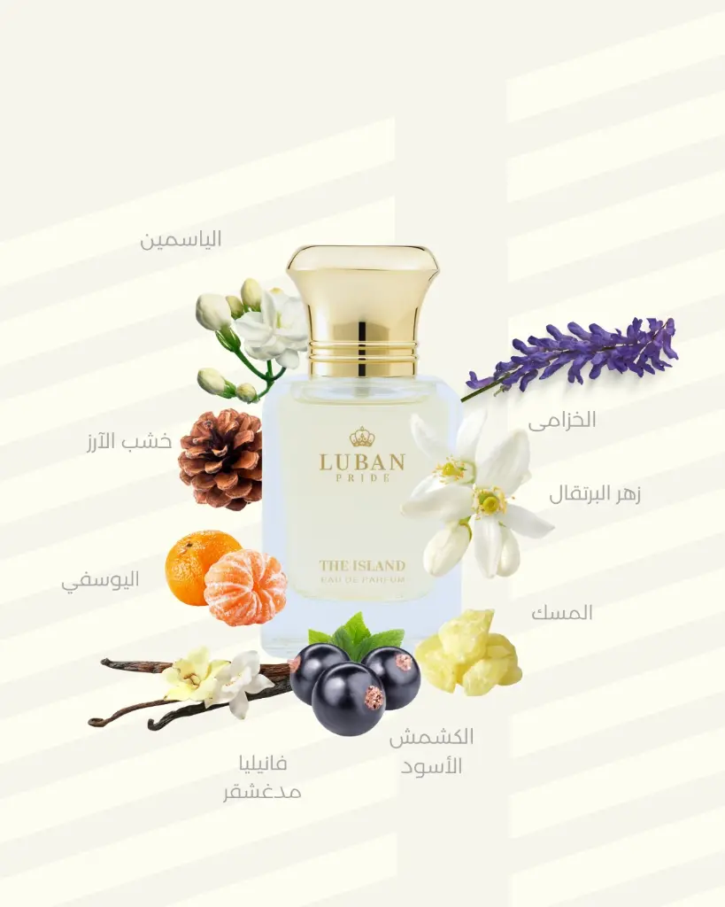 WhatsApp Image 2025-07-24 at 12.20.51 PM (1).webp