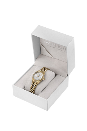 DK.1.14027 Elegant Daniel Klein Women's Watch Stainless Steel Band